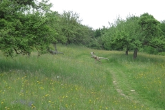 DSCF2129