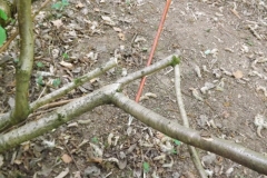 DSCF2136