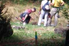 IMG-20180812-WA0067