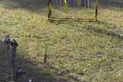 IMG-20180812-WA0080