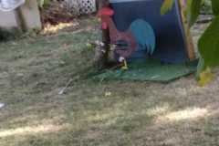 IMG-20180812-WA0100